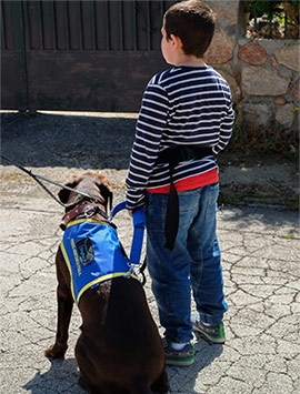 El C.C Salera pone en valor la labor de los perros de asistencia de DogPoint con los niños con autismo