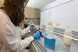 Los test rápidos adquieren mayor importancia que nunca ante la pandemia de la Covid-19