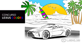 Concurso solidario ´´LEXUS COLORS´´