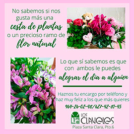 Flores para alegrar el día a alguien querido