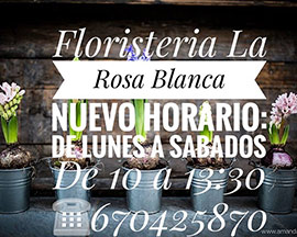 Nuevo horario de la floristería La Rosa Blanca