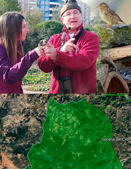 El Grup Au d’Ornitologia detecta 115 especies de aves en las comarcas del sudoeste de la provincia