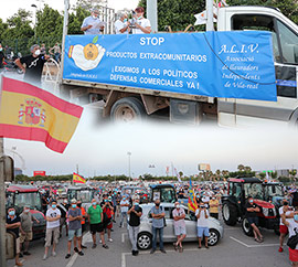 Manifestación para alertar sobre los daños que la plaga de cotonet de Sudáfrica está causando en los cítricos