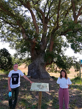 Instalación de paneles informativos en cinco árboles monumentales de la provincia