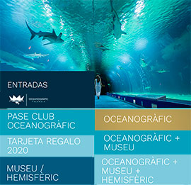 Planifica tu visita al Oceanogràfic de Valencia