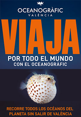 ¡Viaja por todo el mundo con el Oceanogràfic!