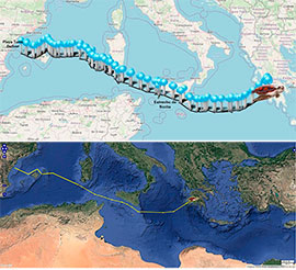 La tortuga Colomera recorre las costas de Grecia