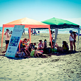 Este fin de semana doble jornada de limpieza en las playas y una suelta de tortuga en Castelló