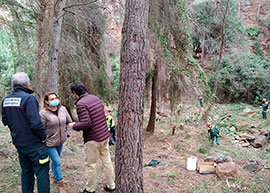 Benicàssim continúa con el plan de acciones de mitigación para la prevención de incendios forestales