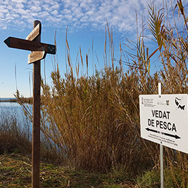 Instalación de señales que avisan de la prohibición de pescar en las zonas vedadas del tramo fluvial preservado de la Desembocadura del río Mijares