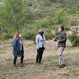 Benicàssim actúa en las urbanizaciones de montaña para la prevención de incendios forestales