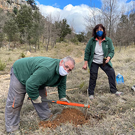 Día del árbol en el Barranc dels Horts de la Fundación Caja Castellón