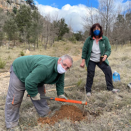 Día del árbol en el Barranc dels Horts de la Fundación Caja Castellón