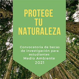Convocatoria de becas de investigación sobre Medio Ambiente 2021 Fundació Caixa Castelló