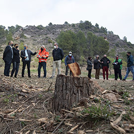 La Diputación de Castellón ensalza el trabajo de las brigadas de mitigación para preservar la seguridad de los ciudadanos frente a incendios