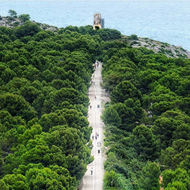 El Ayuntamiento de Oropesa trabaja en la preservación del entorno de la Vía Verde