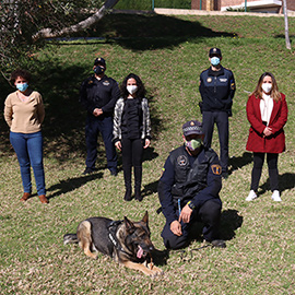 Onda ofrece un pionero servicio de terapia a víctimas de violencia de género con la ayuda de perros