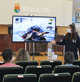 Personal municipal de Benicàssim participa en una reunión formativa para protección de la tortuga boba