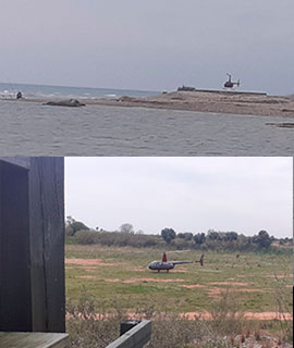 El Consorcio gestor del Paisaje Protegido de la Desembocadura del río Mijares denuncia la presencia de un helicóptero sobrevolando y aterrizando en el espacio fluvial