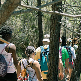 Ruta interpretativa y seguimiento de plantaciones en el Paraje Municipal de la Magdalena, este domingo
