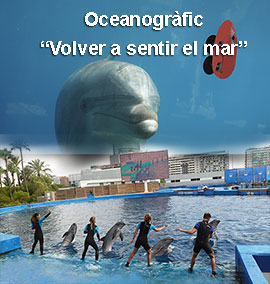 El Oceanogràfic presenta su oferta de verano para ´´Volver a sentir el mar´´