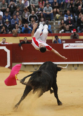 Recortadores Toros en Castellón. Coraje y entrega.