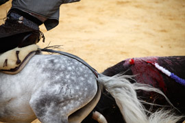 Magdalena 2011. Corrida de rejones