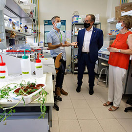 Proyecto de investigación internacional para combatir plagas y enfermedades en cultivos mediterráneos con microorganismos beneficiosos