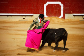 Fiestas de la Magdalena 2011. Novillada martes 29 de marzo