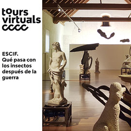 Qué pasa con los insectos después de la guerra, tour virtual ESCIF #CCCCenCasa