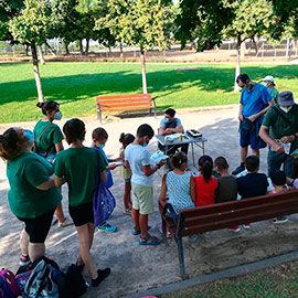 Castelló congrega a 400 personas en las actividades de educación ambiental de verano