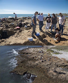 Segunda campaña de excavaciones en el yacimiento del Prat de Cabanes para reforzar su protección frente a la erosión del mar