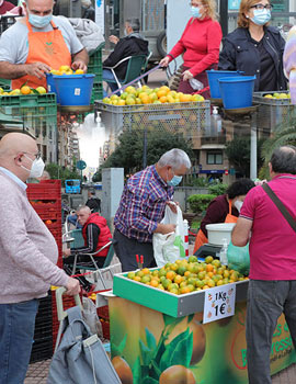 Comienza una nueva edición del mercado de la Fira de la Taronja de Castelló