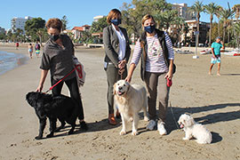 Benicàssim estrena la temporada de acceso de perros a la playa