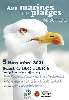Nuevas actividades de observación de aves y voluntariado para mejorar la biodiversidad del litoral castellonense