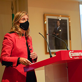 Presentación del XVI Congreso Internacional del Técnico Cerámico