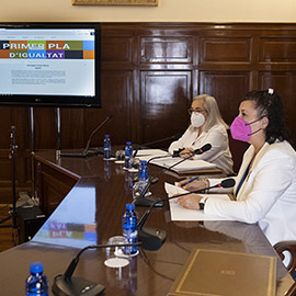 La Diputación de Castellón inicia el trabajo técnico para perfeccionar la futura estrategia provincial de igualdad entre mujeres y hombres