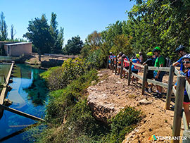 Celebrem amb la Natura reúne este año a 383 personas y refuerza la implicación ciudadana en el cuidado del entorno natural de Castelló