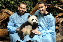 Sergio y Víctor García visitan la reserva de osos panda gigantes en Chengdu