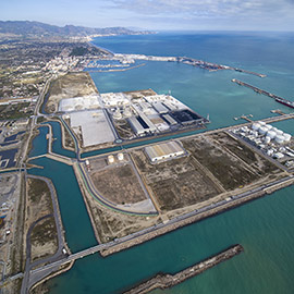 PortCastelló impulsa el proyecto ´Delphinidae´