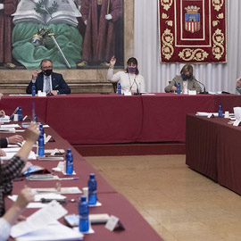 El pleno de la Diputación de Castellón insta al Gobierno de España a suspender la tramitación de la planta fotovoltaica ´Magda´ prevista en la provincia