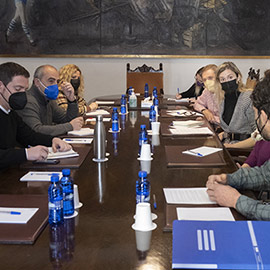 La Diputación solicitará que la Generalitat acometa una adecuada ordenación de las infraestructuras fotovoltaicas que evite graves afecciones al territorio