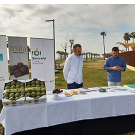 La alcachofa y la trufa se fusionan para promover la gastronomía de Benicarló y Morella