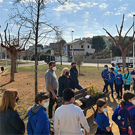 Oropesa del Mar conmemora el Día del Árbol con la plantación de 400 ejemplares en Els Quarts