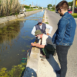 Castelló impulsa un estudio e inventario sobre la biodiversidad de la Marjaleria para avanzar en su recuperación  paisajística