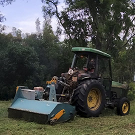 Benicàssim intensifica la coordinación de las labores de desbroces con los tratamientos antimosquitos para lograr una mayor efectividad