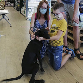 El proyecto Onda Adopta ha encontrado familia a 247 mascotas que fueron abandonadas desde 2019