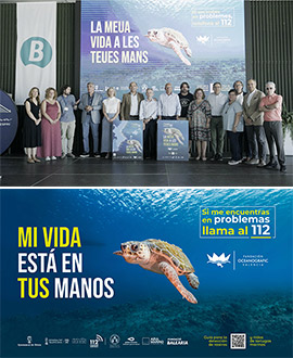 Doce municipios de Castelló se suman a la campaña ´Tortugas en el Mediterráneo´ de la Fundación Oceanogràfic