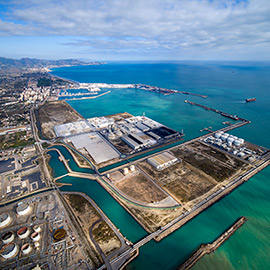 Siport21 se adjudica el estudio que evaluará el impacto de ´Delphinidae´  en el puerto de Castellón