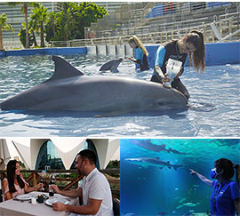 El Oceanogràfic presenta sus experiencias para este verano